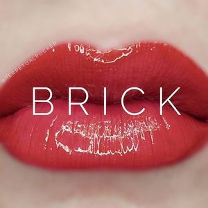 Lipsense by Sengence. Shade: Brick. NWT